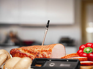 BLUETOOTH MEAT THERMOMETER - 9