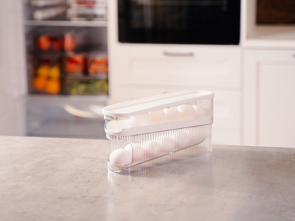 EGG TRAY - 2